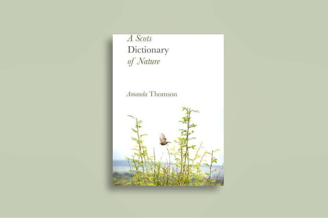 Dictionary of Nature published