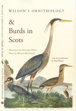 wilsons+burds+in+scots